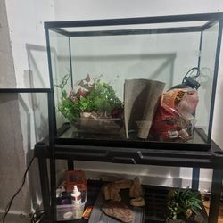 Reptile Terrarium 