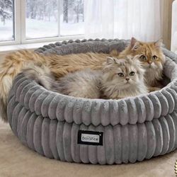 Cat Bed