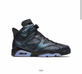 Jordan 6 Chameleon size 10
