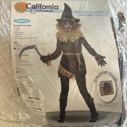 Halloween Costume Scarecrow