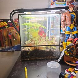 Terrarium