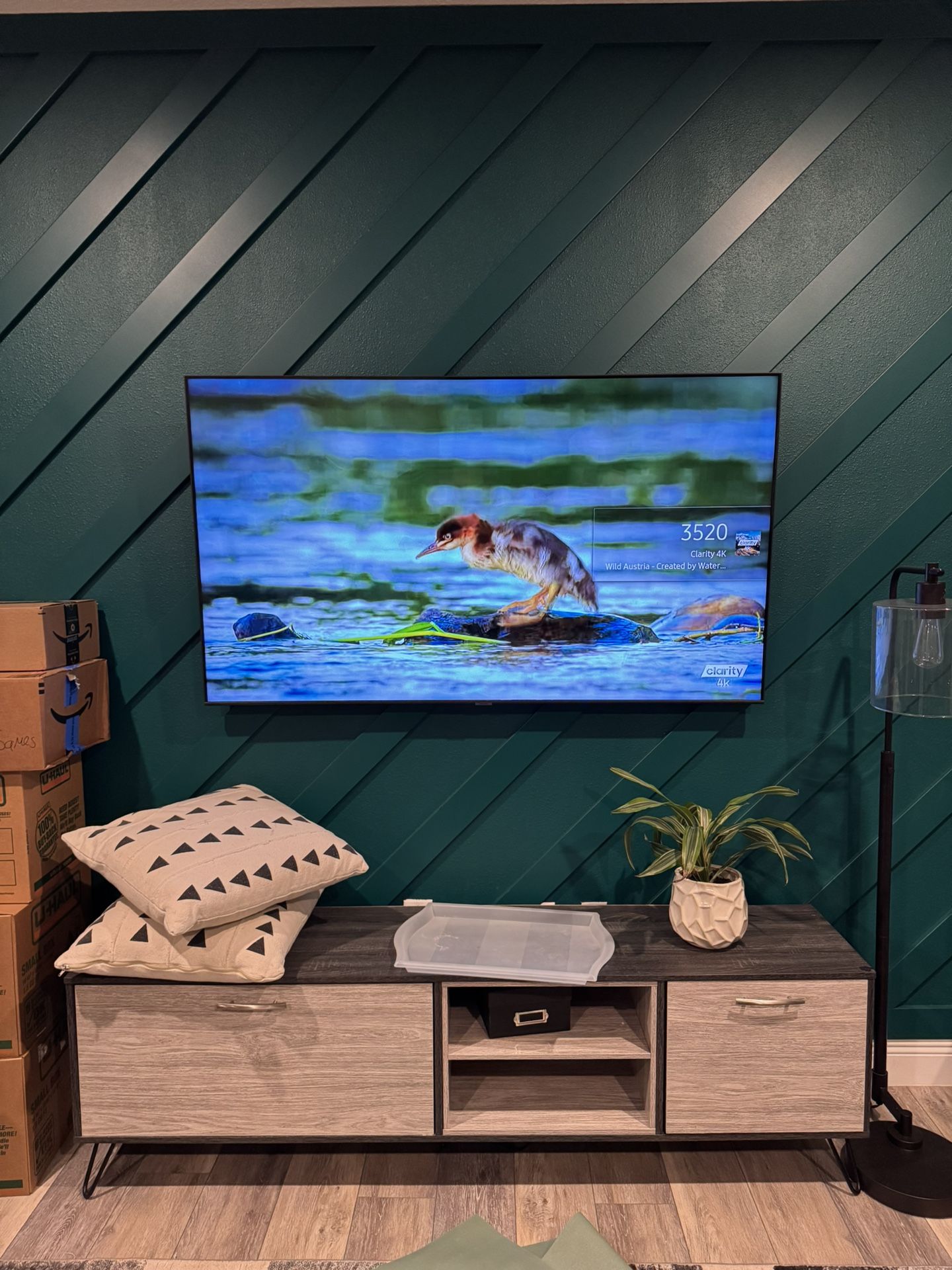 65” Samsung QLED TV 