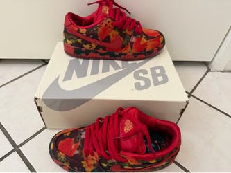 Nike sb