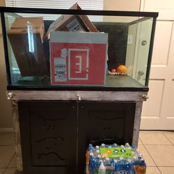 Aquarium With Stand