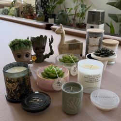 PLANT STUFF, CANDLES 