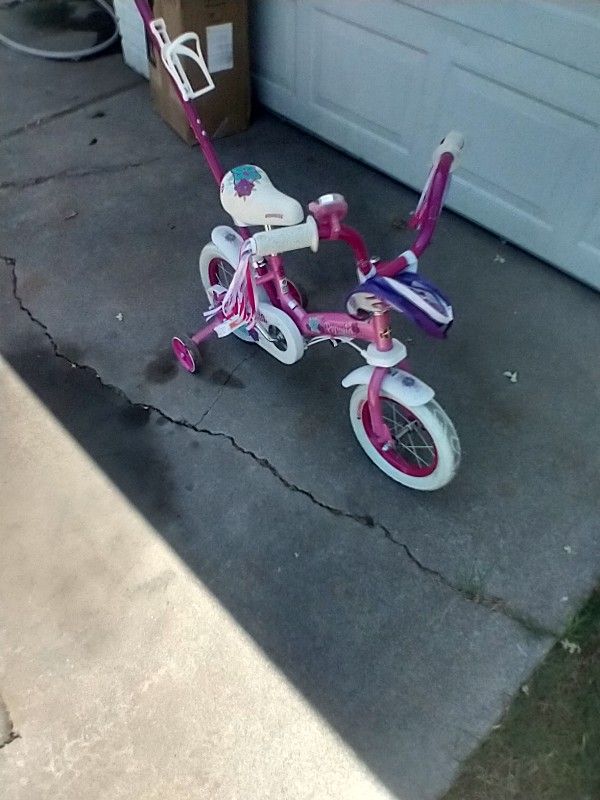 Schwinn Petunia And Grit Bike ( Girls )