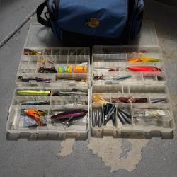 Fishing Lures With Carrying Case