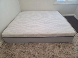 King Foam Mattress Costco Nova Foam