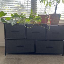 Multiple Shelves - Sitting Plus Storage