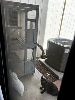 Catio (Used Once)