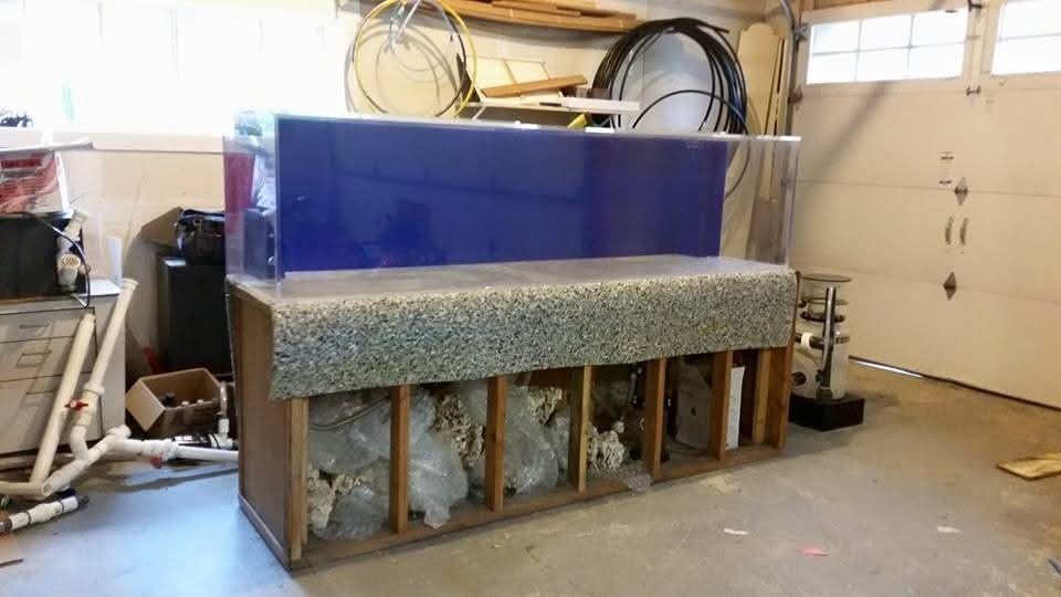 Saltwater Aquarium
