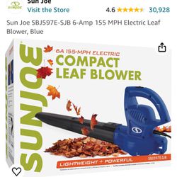 Compact Leaf Blower 