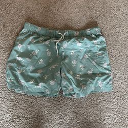 XL Men's Swim Trunks - New