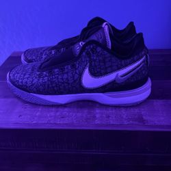 LeBron Basketball Shoes Worn Once 