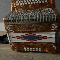 Accordion/Acordeon