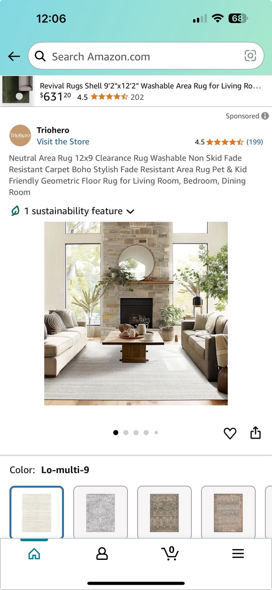 Neutral Area Rug