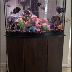 36 Gallon Bow Front Aquarium And Stand 