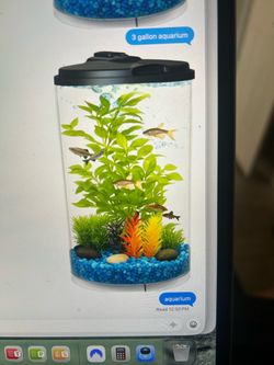 Aquarium with supplies