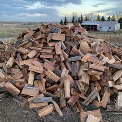 Seasoned Dry Madrona Firewood 🪵🪓