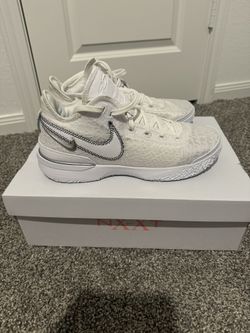 Nike Zoom LeBron NXXT Gen