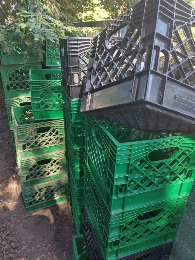 Black And Green Milk Crates For Sale