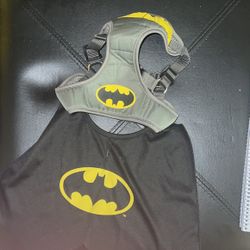 Justice League Batman Harness