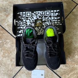 Ducks of a Feather x Nike Dunk Low “Black University of Oregon PE” Size 4 DS TRADES WELCOME 