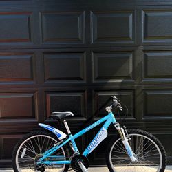 Novara Moxie Mountain Kids Bike 24”