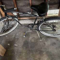 Original Schwinn Cruiser