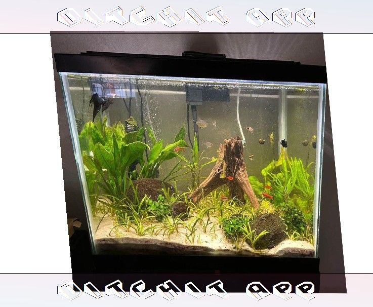 Mr concern Fully-Loaded Aquarium Set - Dive into Underwater Beauty