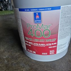 5 Gall Bucket Of Extra White Semi Gloss 