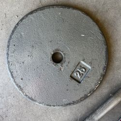 2 25lb Plates 