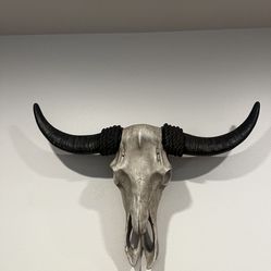 Cow Head And Horns 