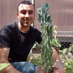 Plant 3 Foot Tall Totem Pole 