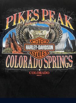 Vintage Harley Davidson Shirt
