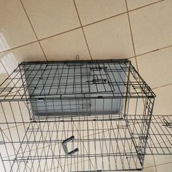 Dog Crate