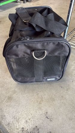 Amazon Basic Pet Carrier