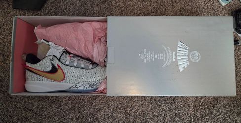 Nike LeBron XX