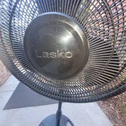 Fan Sta Ding Lasko, Coffee Tables. Rugs Carpets