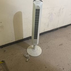 Fan 