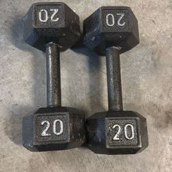 20lbs Dumbbells 