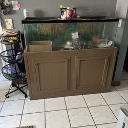 50 Gal Fish Tank