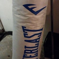 Everlast Punching Bag