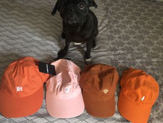 Dad hats 10$