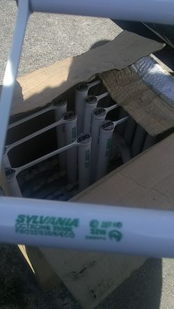 Fluorescent lightbulbs