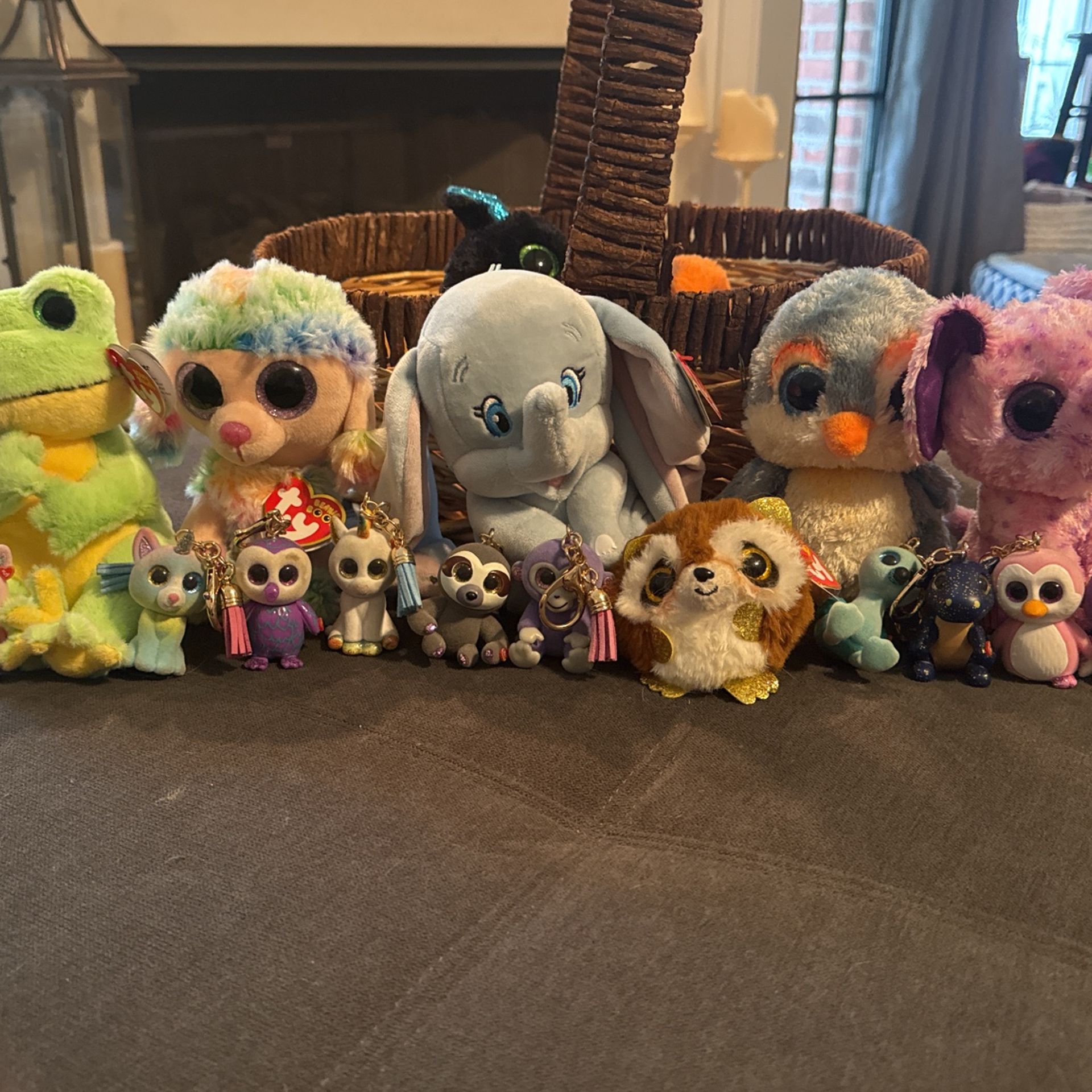 17 Ty Beanie Baby Pieces