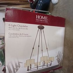 Brand New Hanging Light