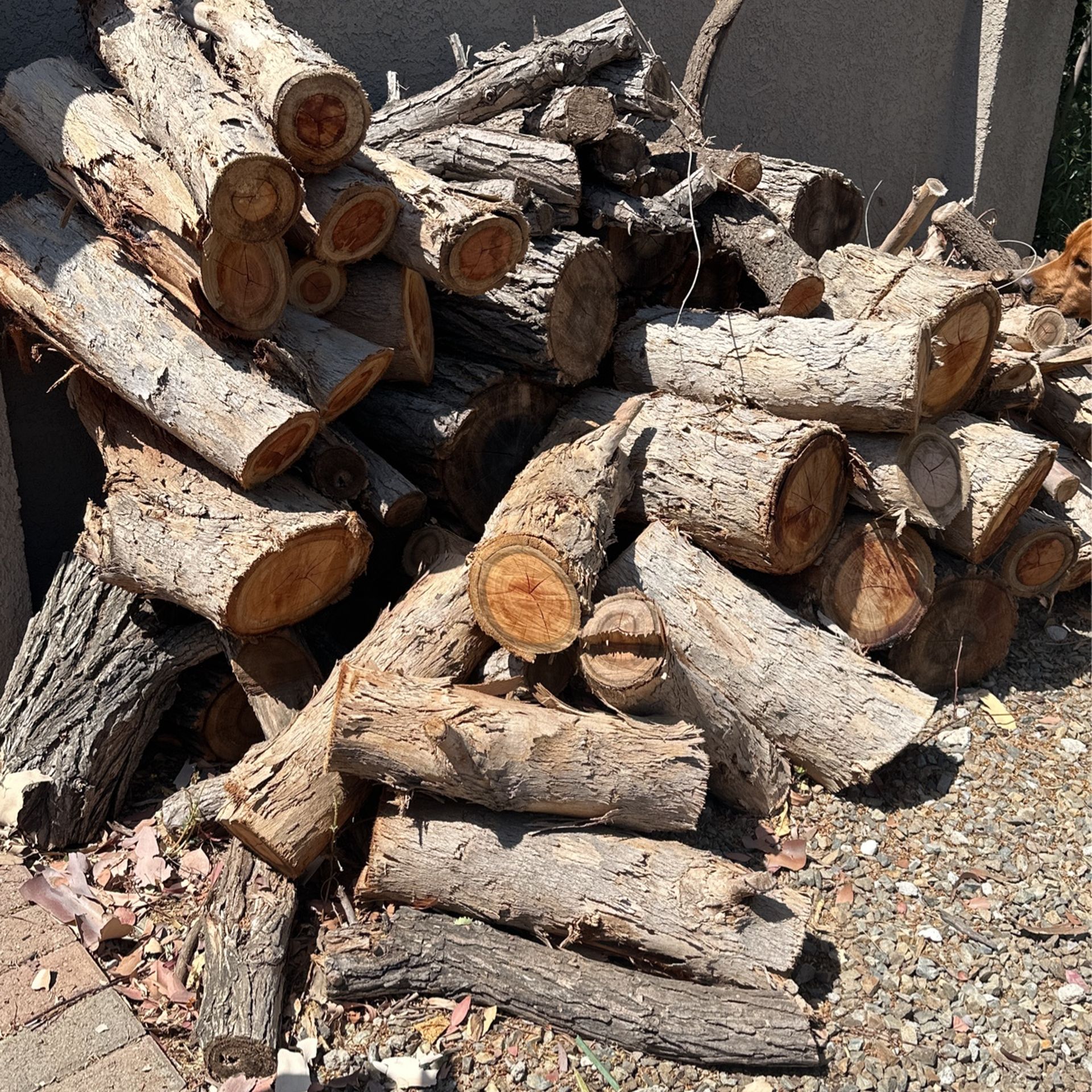 Free Firewood