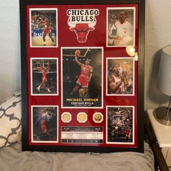 Michael Jordan Collectible Framed Chicago Bulls