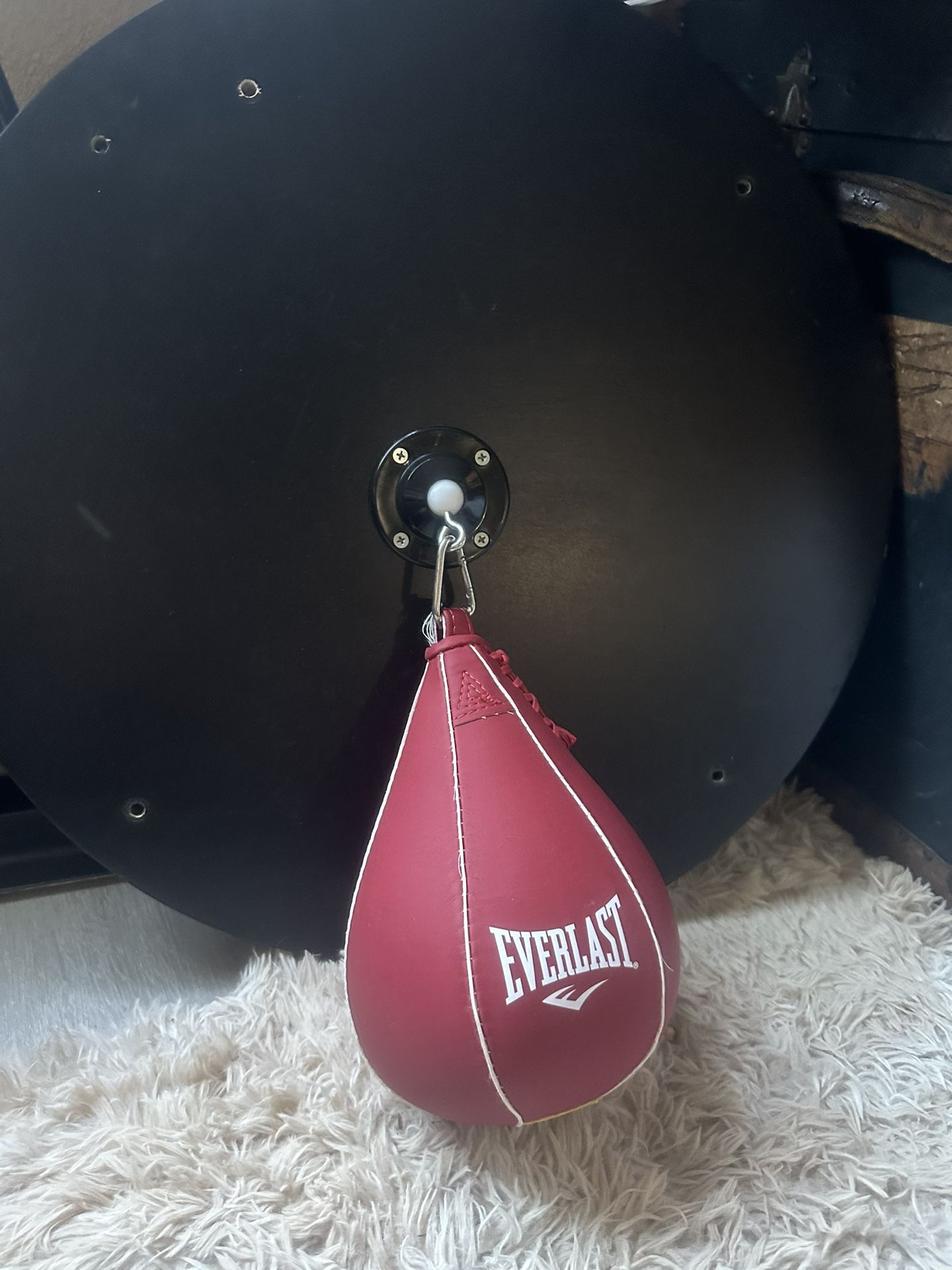 Everlast Speed Bag With Mounting Brackets